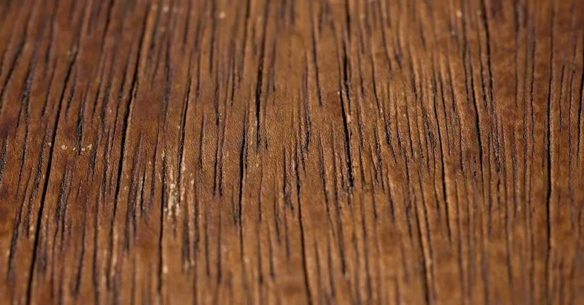 Новые правила взыскания долгов с наследников в 2026 году